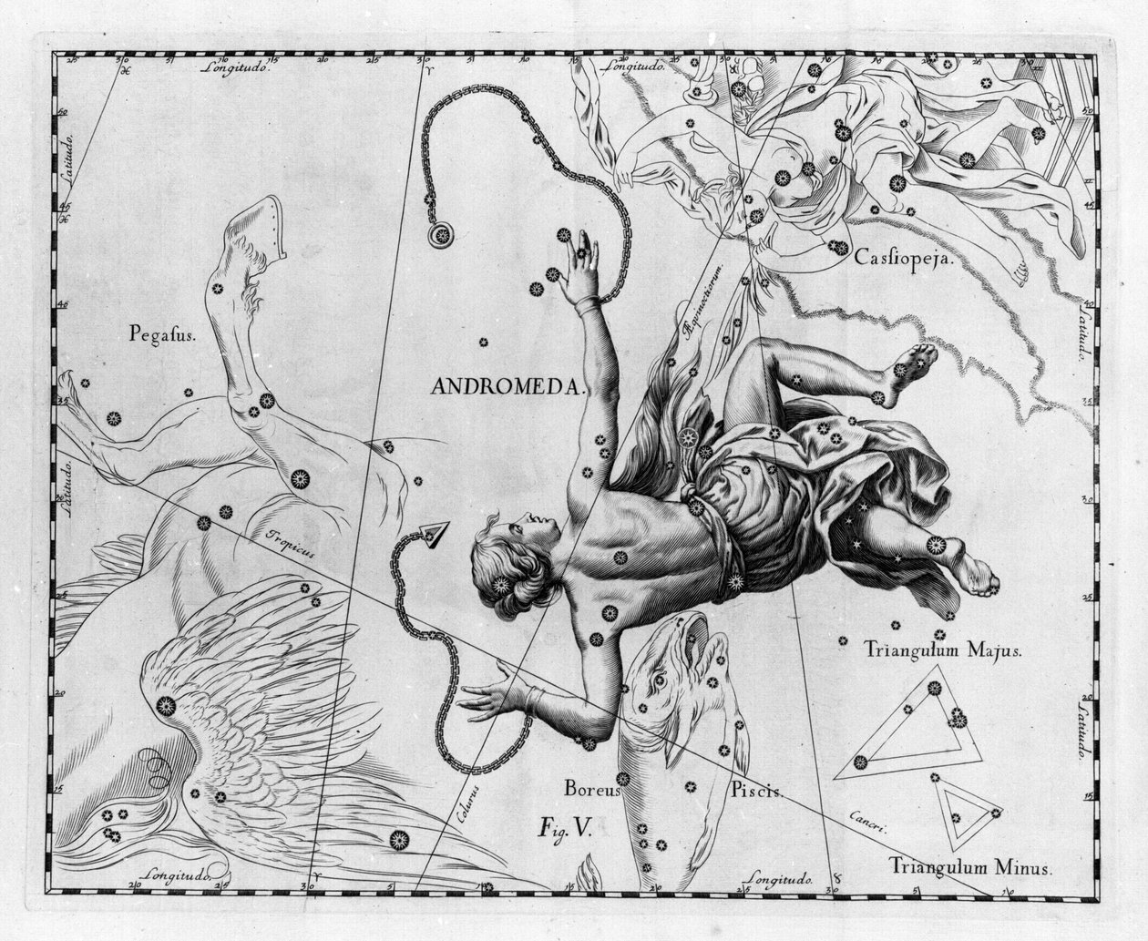 Andromeden tähdistö. Levy piirretty Johannes Heveliuksen tai Hevelin (1611-1687) teoksesta "The Firmament of Sobiescanum or Uranography" tekijältä Johannes Hevelius