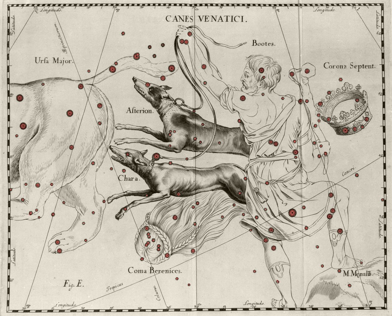 Tähdistö Canes Venatici, metsästyskoirat. Levy piirretty Johannes Heveliuksen tai Hevelin (1611-1687) "Firmamentum Sobiescanum sive Uranographia" -julkaisusta tekijältä Johannes Hevelius