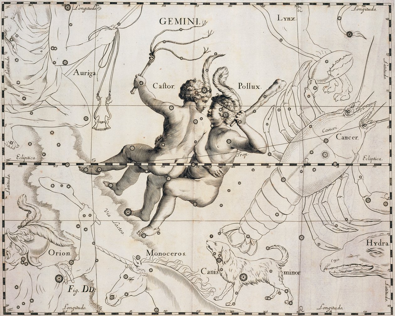 Kaksosten tähtikuvio, kuvitus Firmamentum Sobiescianum sive Uranographiasta, kirjoittanut Johann Hevelius (1611-1687), Gdansk 1690 tekijältä Johannes Hevelius