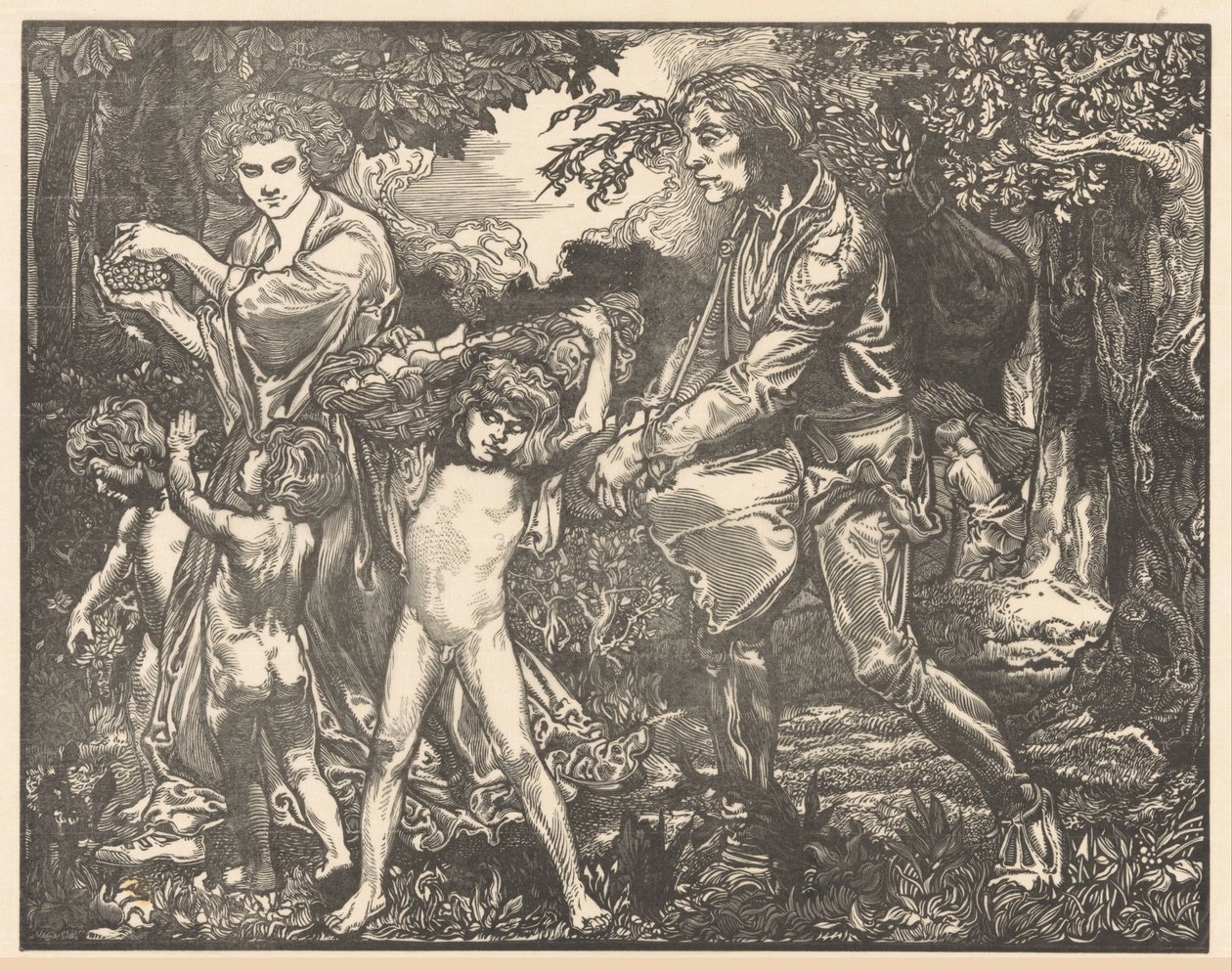 Fruitologi tekijältä Johannes Josephus Aarts (signed by artist)