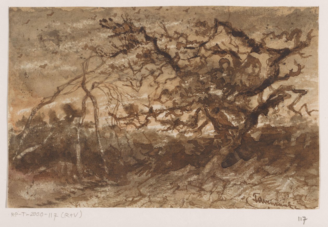 Puu auringonlaskun aikaan tekijältä Johannes Tavenraat (signed by artist)