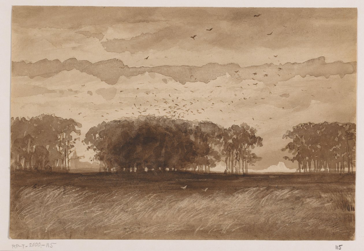 Rookery Pohjois-Brabantissa tekijältä Johannes Tavenraat (signed by artist)