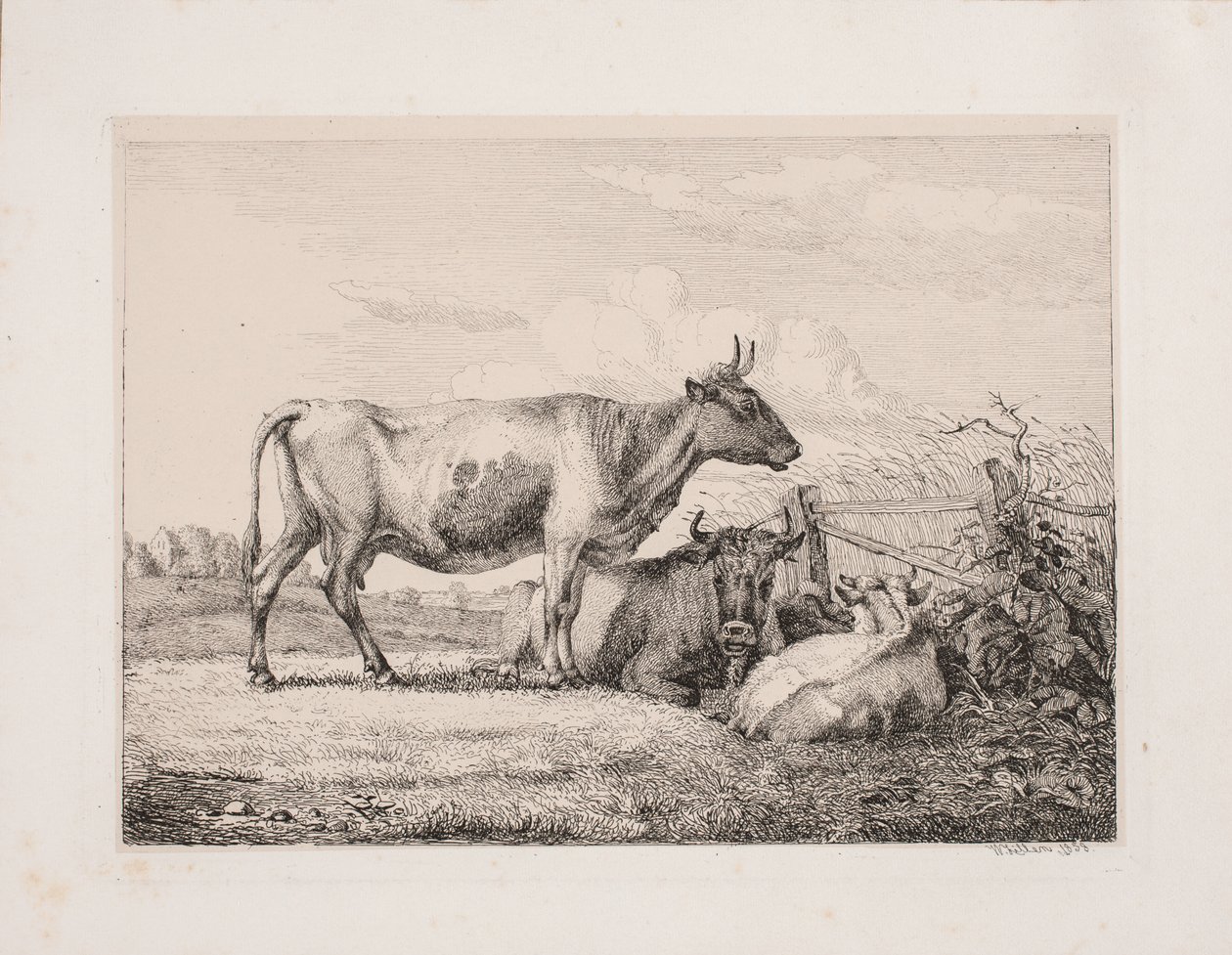 Lehmiä pellolla tekijältä Johannes Wilhelm Zillen