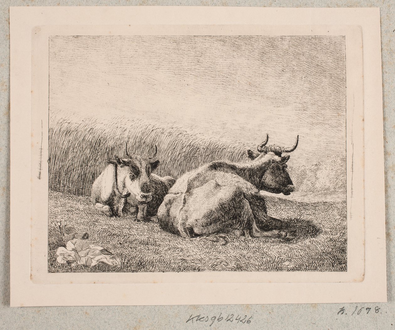 Kaksi lepäävää lehmää tekijältä Johannes Wilhelm Zillen