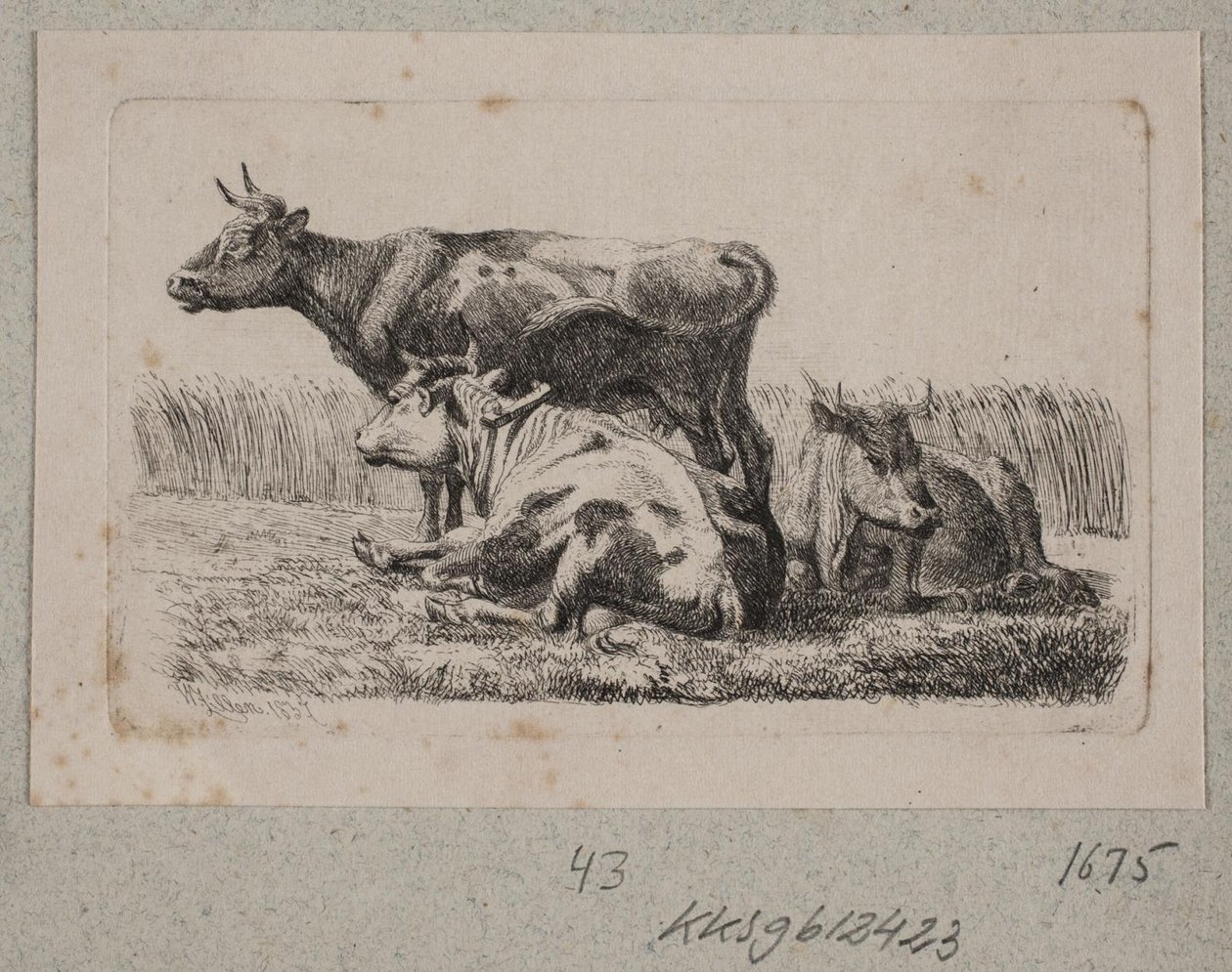 Kolme lehmää tekijältä Johannes Wilhelm Zillen