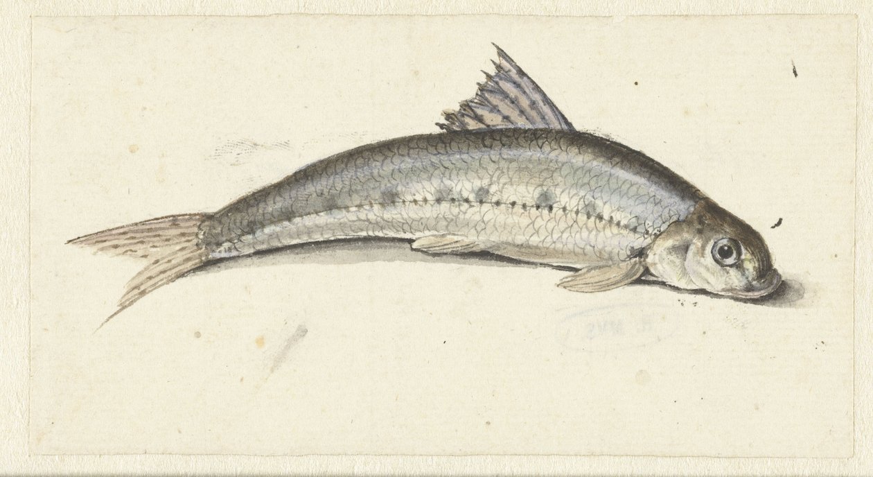 gondoli tekijältä Johannes le Francq van Berkhey