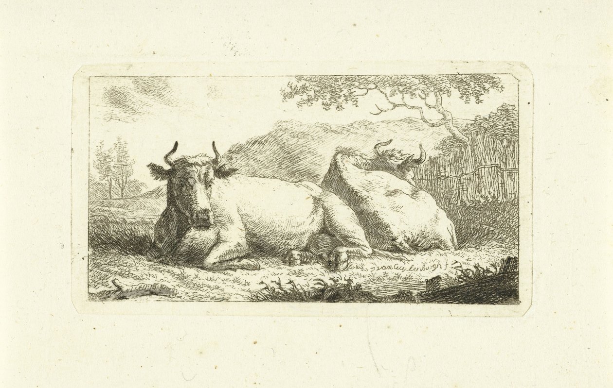 Kaksi makaavaa lehmää tekijältä Johannes van Cuylenburgh