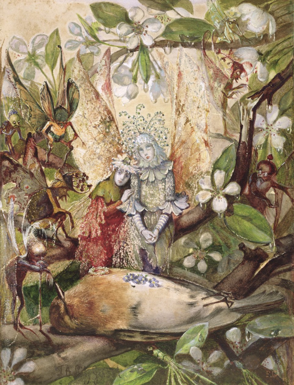 Cock Robinin kuolema tekijältä John Anster Fitzgerald