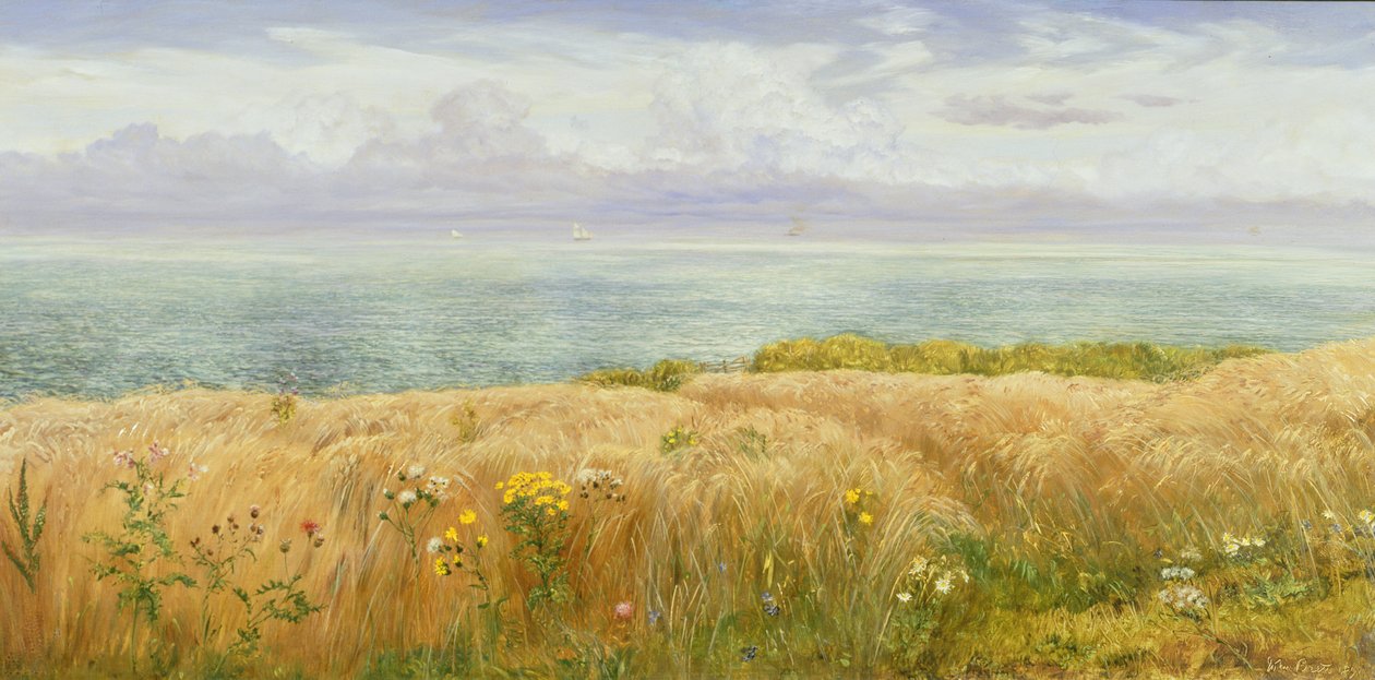 Kesä kallioilla, 1891 tekijältä John Brett