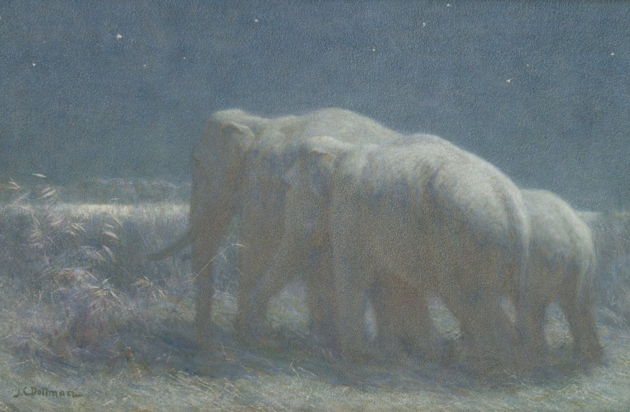 Yö, 1908 (wc ja liitu paperille) tekijältä John Charles Dollman