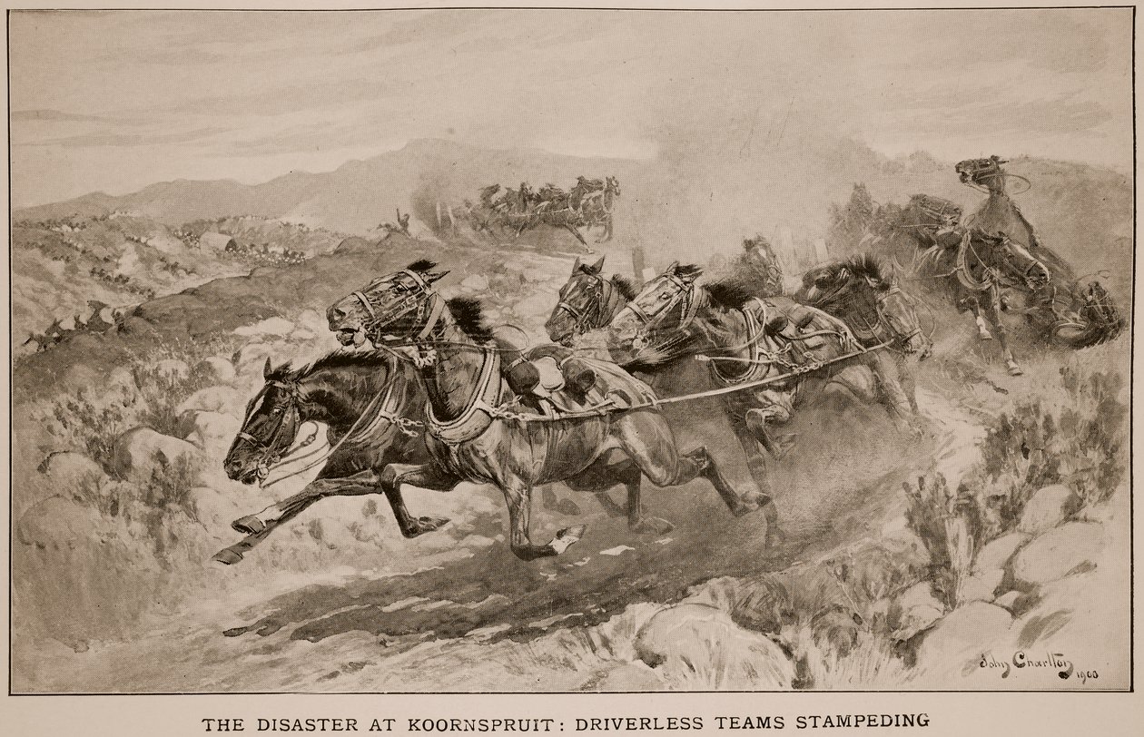 Katastrofi Koornspruitissa: Driverless Teams Stampeding, 1900 tekijältä John Charlton