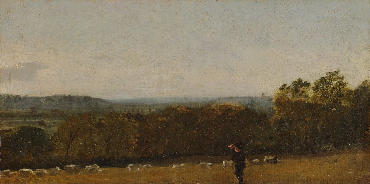 Paimen maisemassa Dedham Valen poikki Langhamia kohti tekijältä John Constable