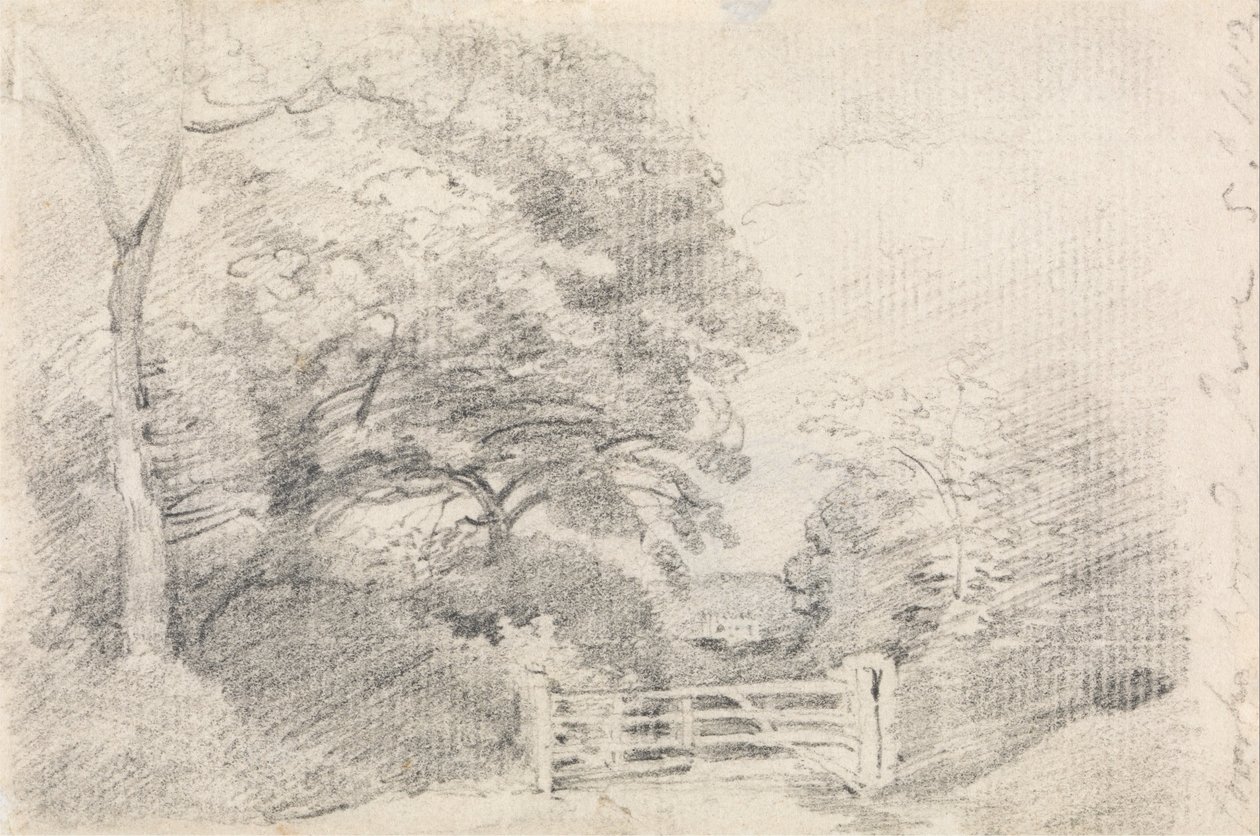 Coombe Wood tekijältä John Constable