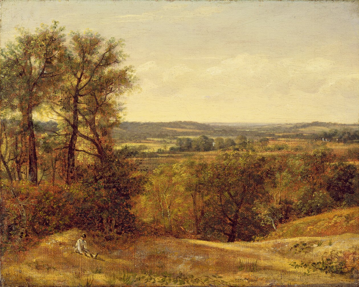 Dedham Vale, noin 1802 tekijältä John Constable