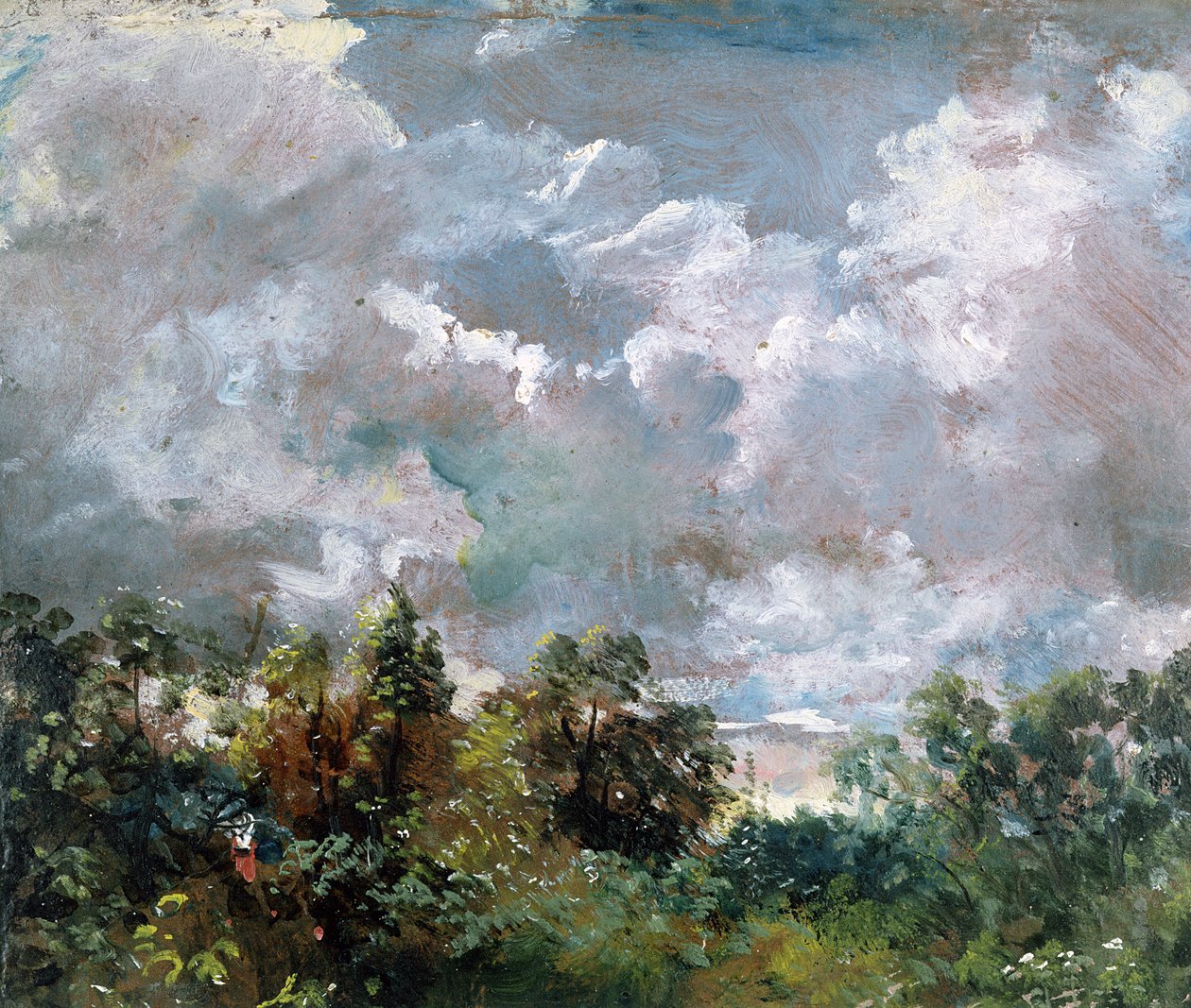 Taivaan ja puiden tutkimus tekijältä John Constable
