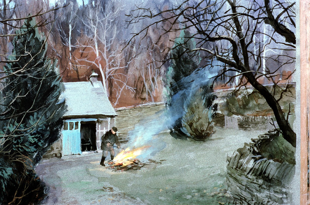 Lakeland Bonfire, 1996 (guassi) tekijältä John Cooke