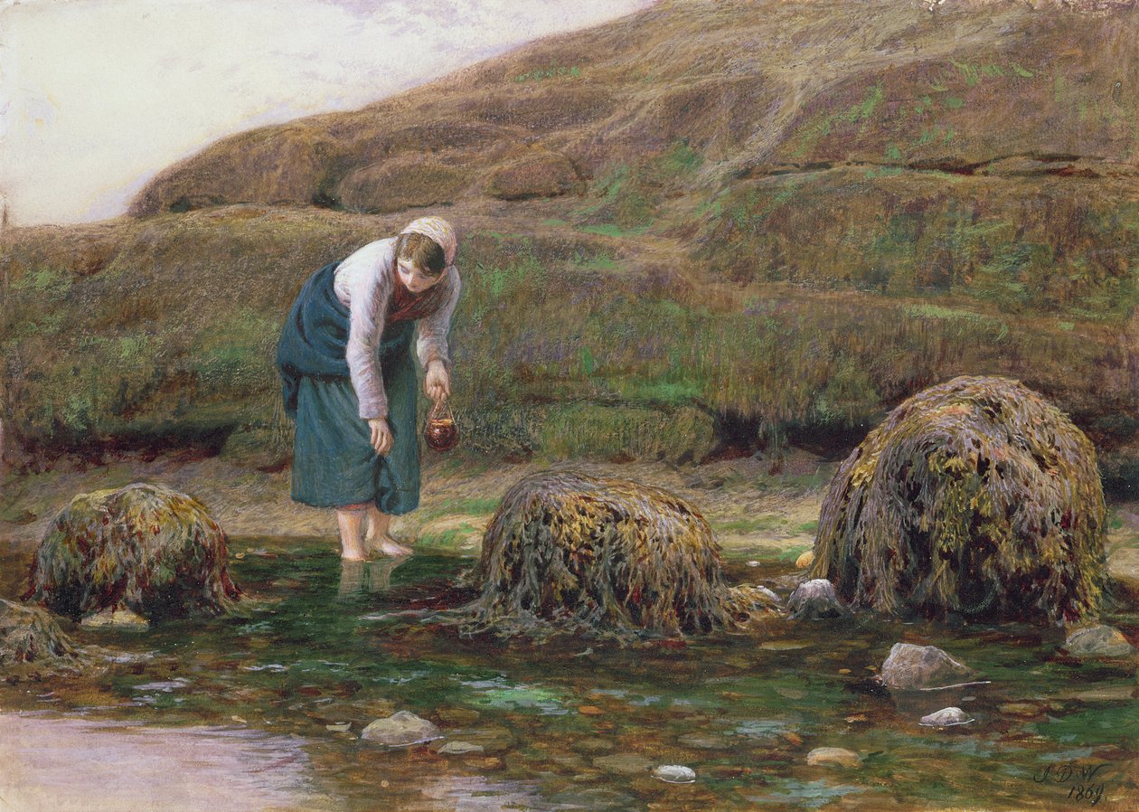 Winkle Gatherer, 1869 tekijältä John Dawson Watson