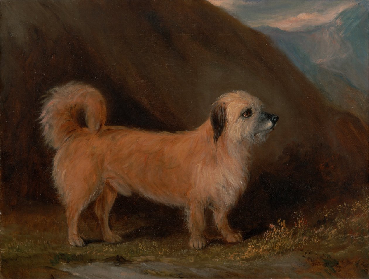 Dandie Dinmont Terrieri tekijältä John E. Ferneley