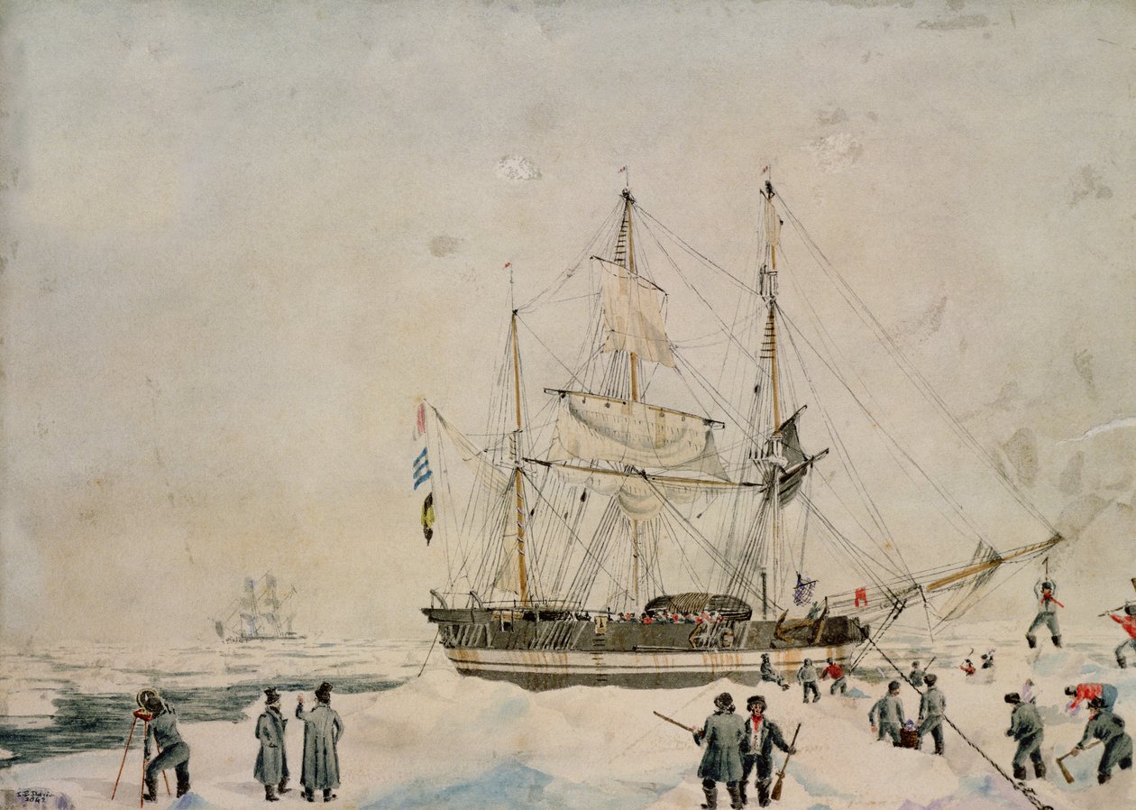 Walking in the Pack, Ross Expedition, 1842 tekijältä John Edward Davis