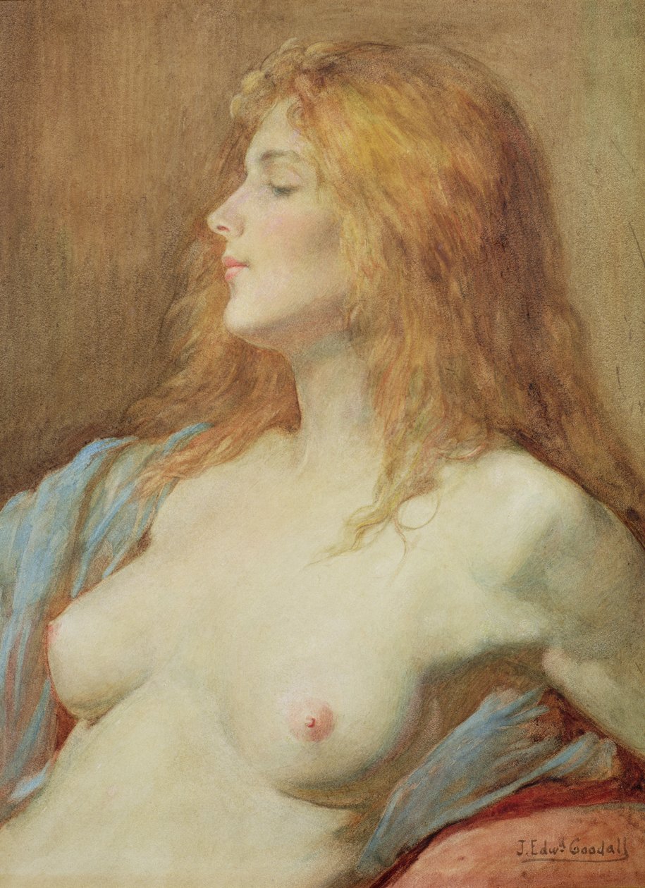 Punapää tekijältä John Edward Goodall