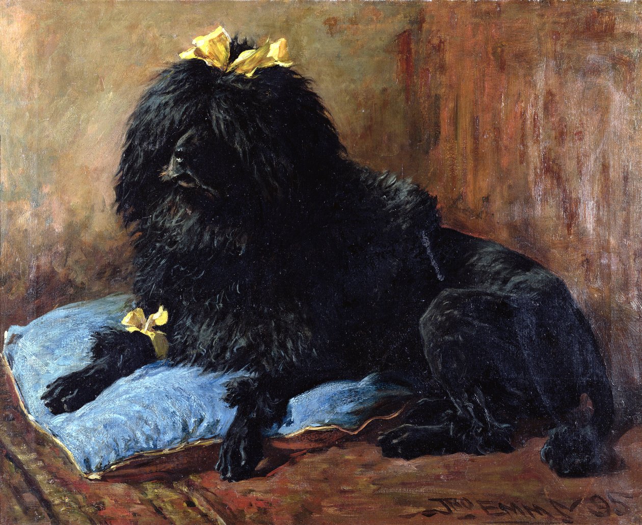 Musta vakiovillakoira sinisellä tyynyllä, 1895. tekijältä John Emms