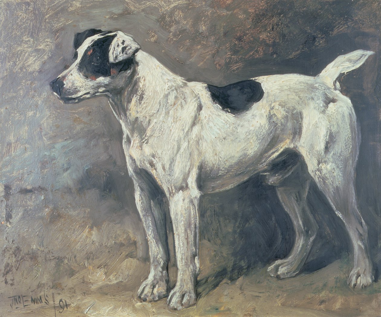 Jack Russell, 1891 tekijältä John Emms