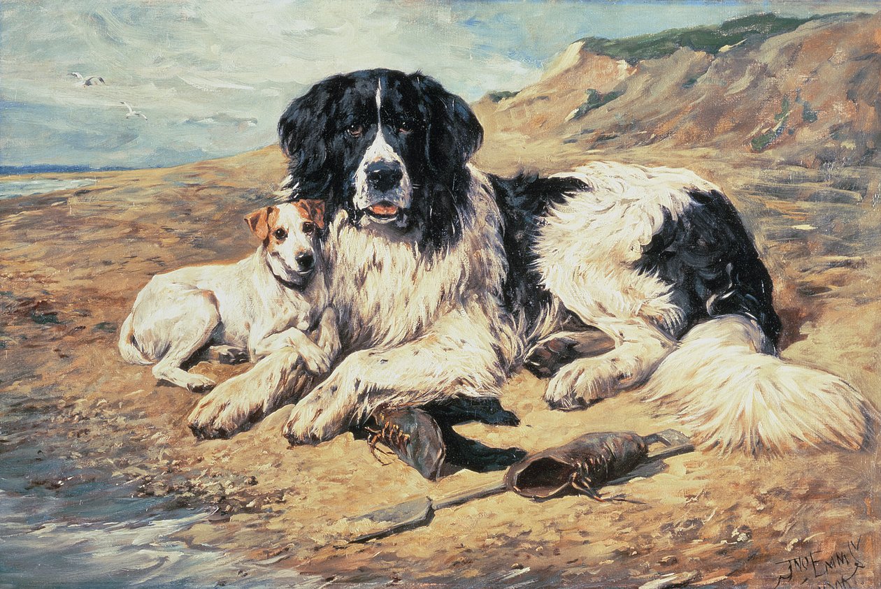 Koirat katsomassa uimareita, 1900 tekijältä John Emms