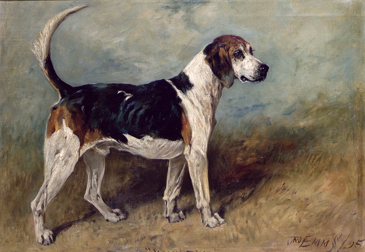 Kuukivi, 1895 tekijältä John Emms