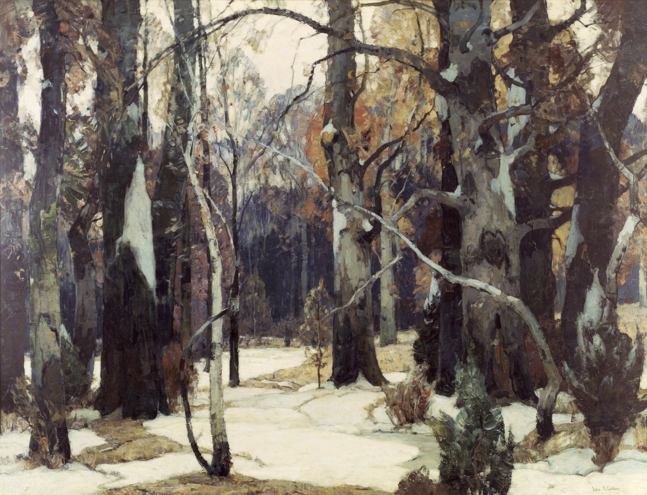 Forest Vistas, n.1932 tekijältä John Fabian Carlson