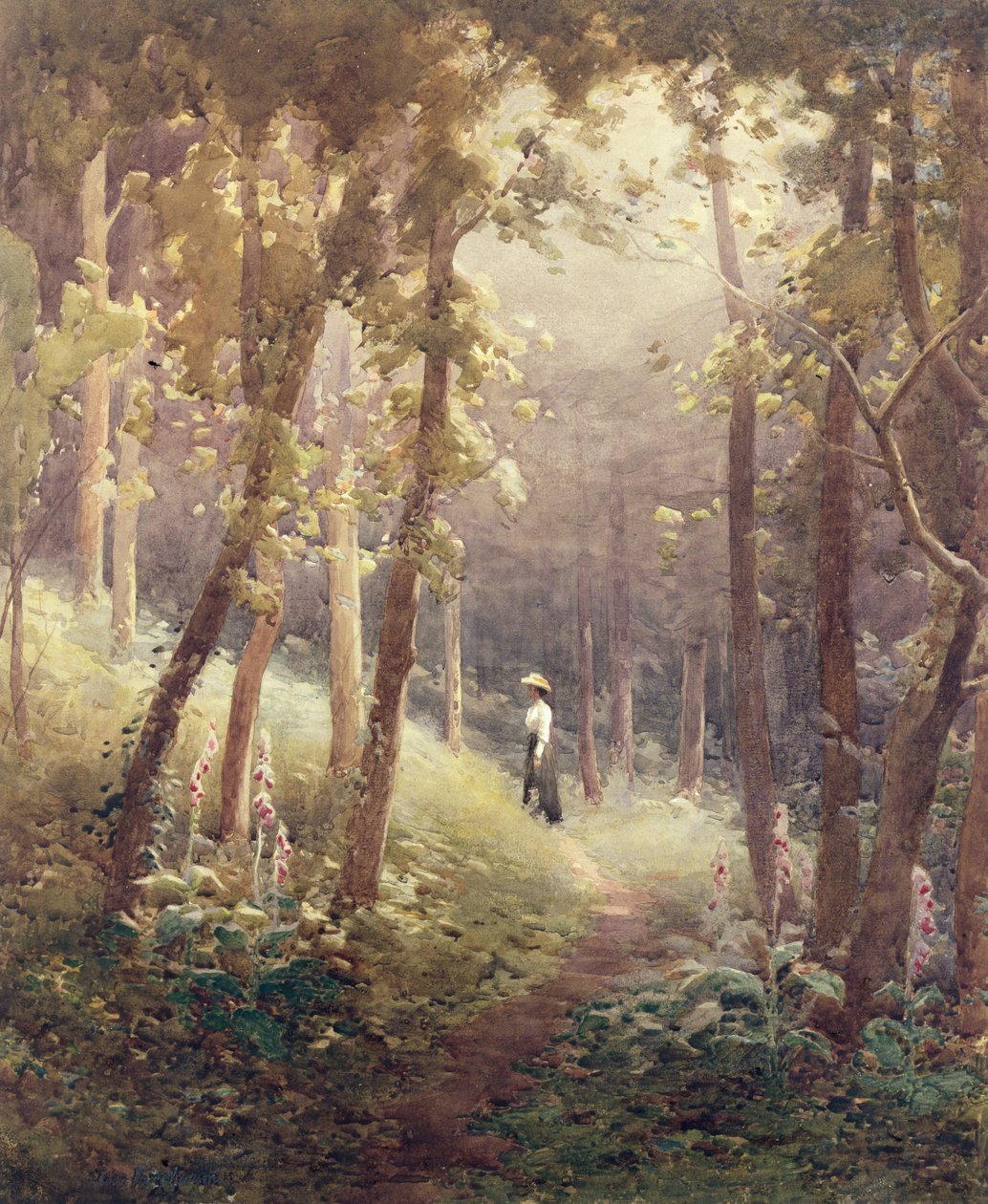 Woodland Glade tekijältä John Farquharson