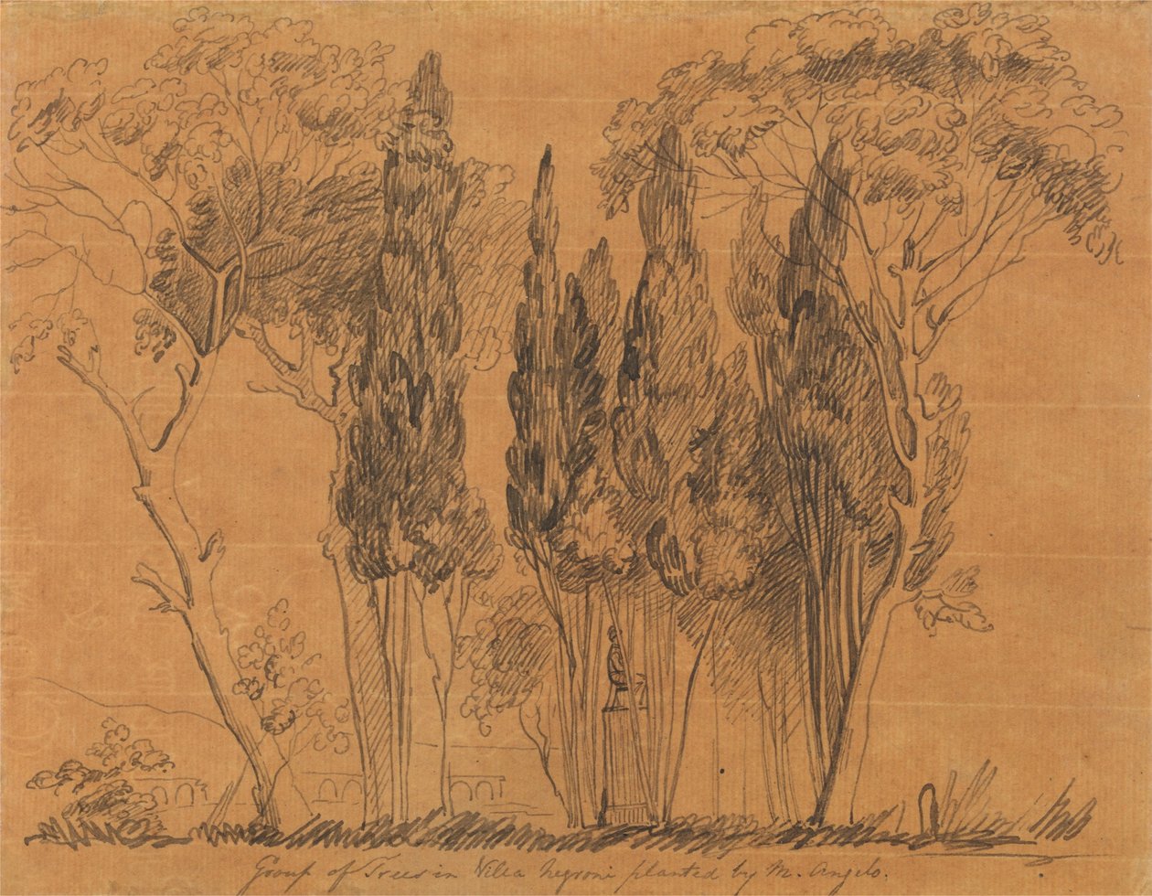 Puut Villa Negronissa Istutti M. Angelo tekijältä John Flaxman