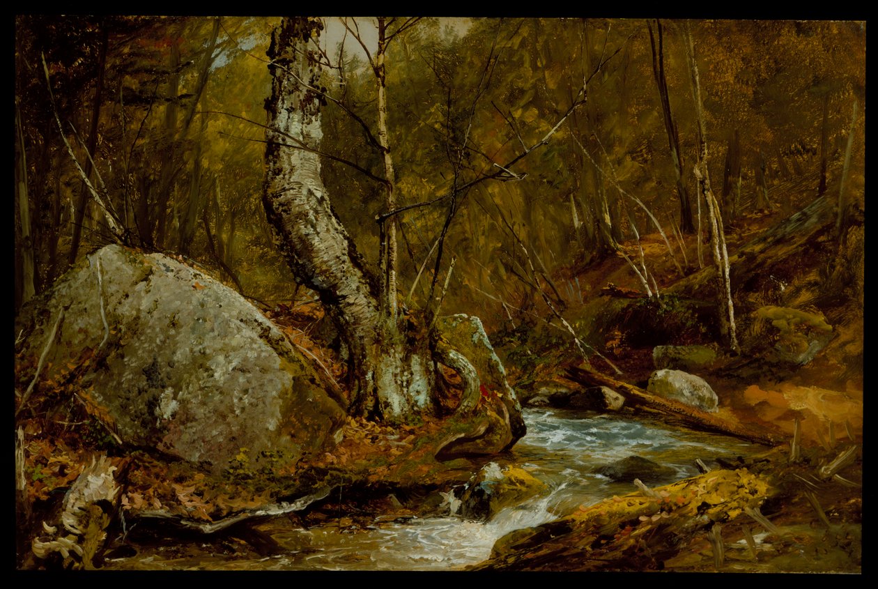 Woodland Interior, n. 1850-55 tekijältä John Frederick Kensett