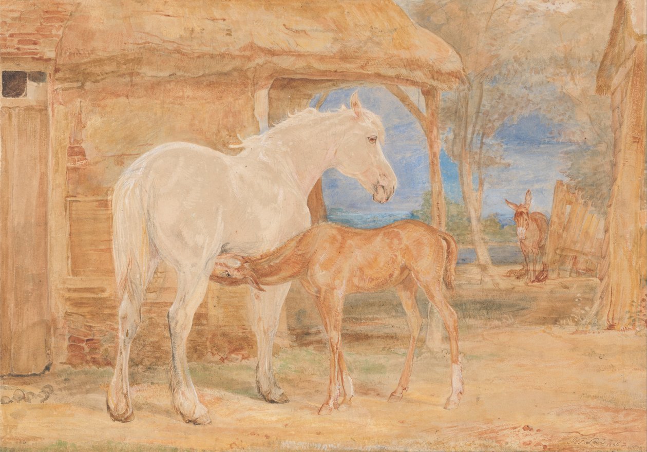 Harmaa tamma ja kastanjan varsa tekijältä John Frederick Lewis