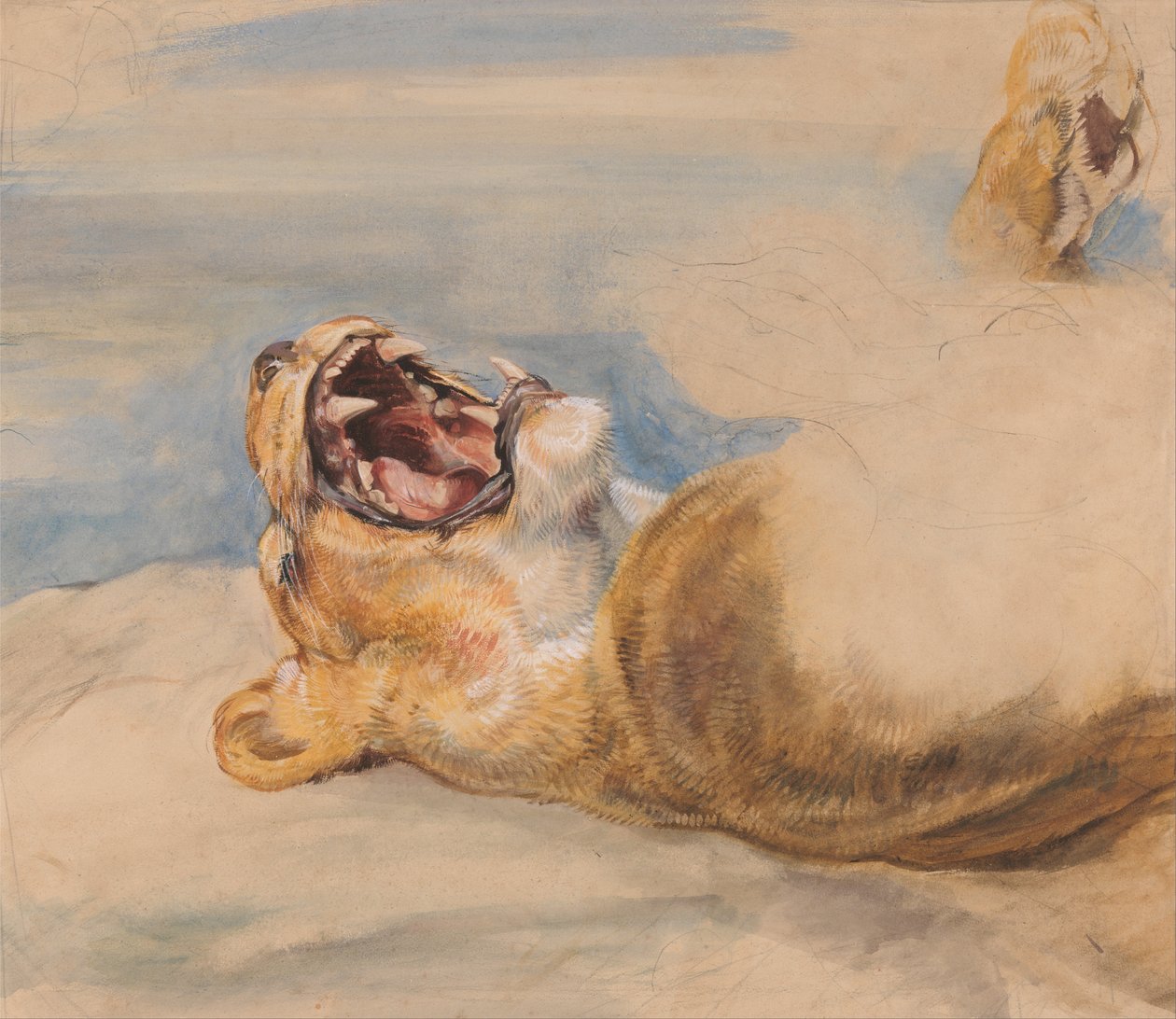 Lionessin tutkimus tekijältä John Frederick Lewis