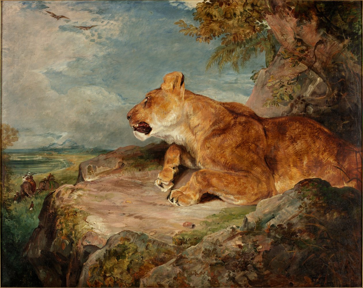 Leijona, n. 1824-27 tekijältä John Frederick Lewis