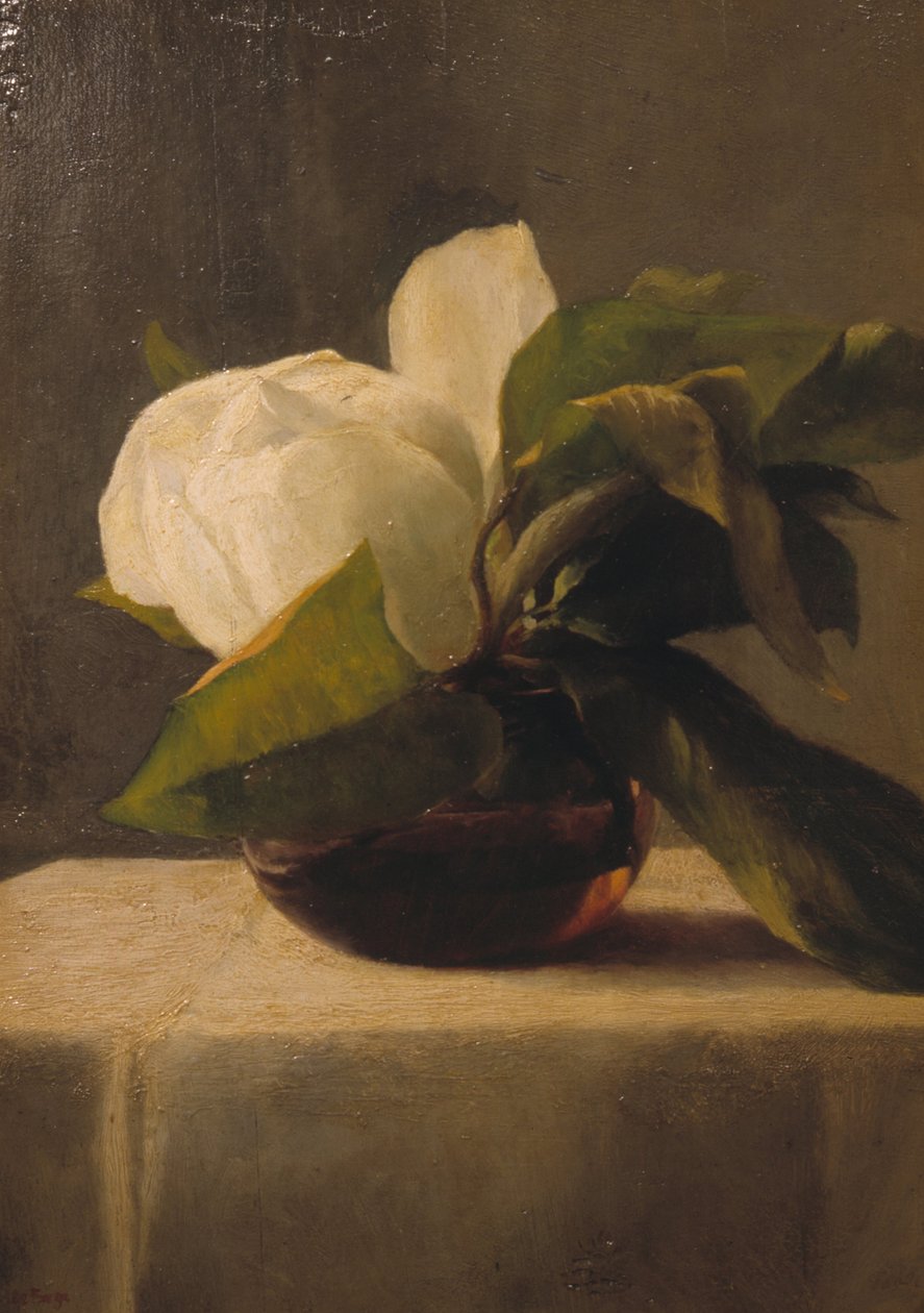 Magnolia tekijältä John La Farge or Lafarge