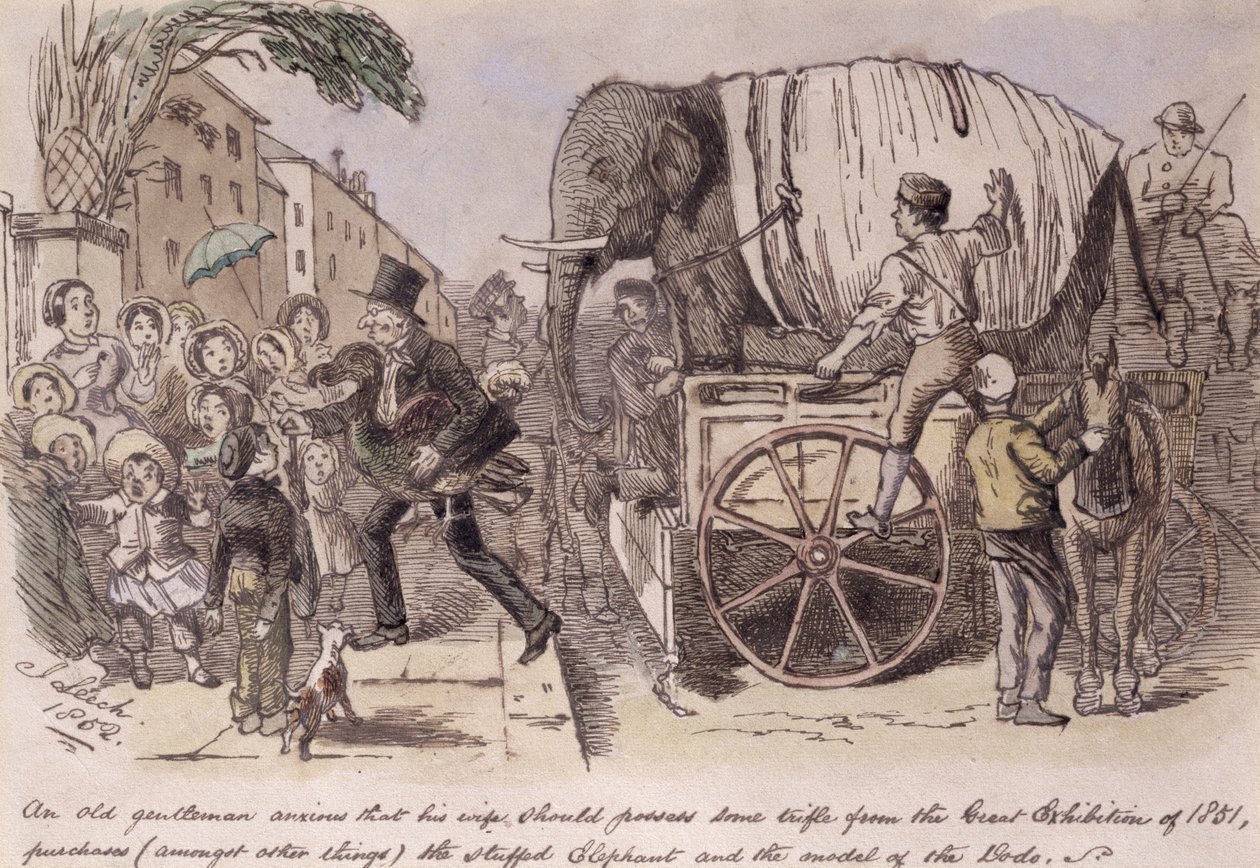 "Vanha herrasmies, joka toivoo, että hänen vaimollaan olisi jotain pientä tavaraa vuoden 1851 suuresta näyttelystä, ostaa (muun muassa) täytetyn norsun ja dodon mallin", piirretty Punchille tekijältä John Leech