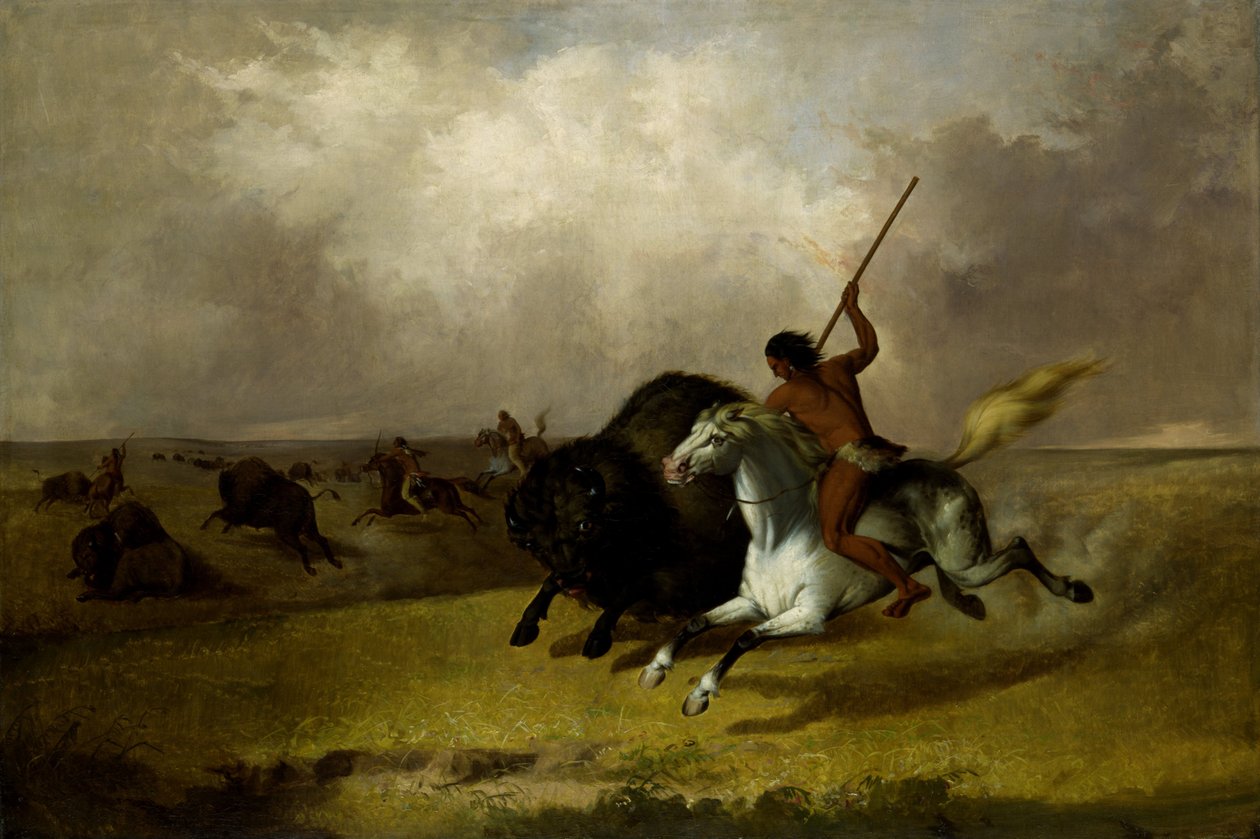 Buffalo Hunt Lounais Prairies tekijältä John Mix Stanley