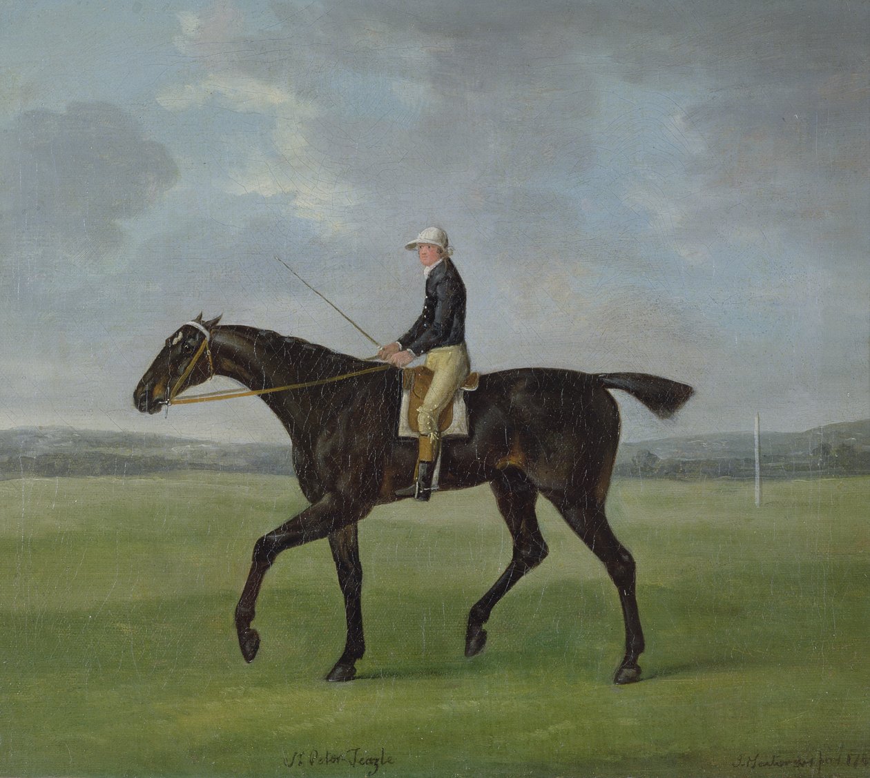 "Sir Peter Teazle", 1788 tekijältä John Nott Sartorius