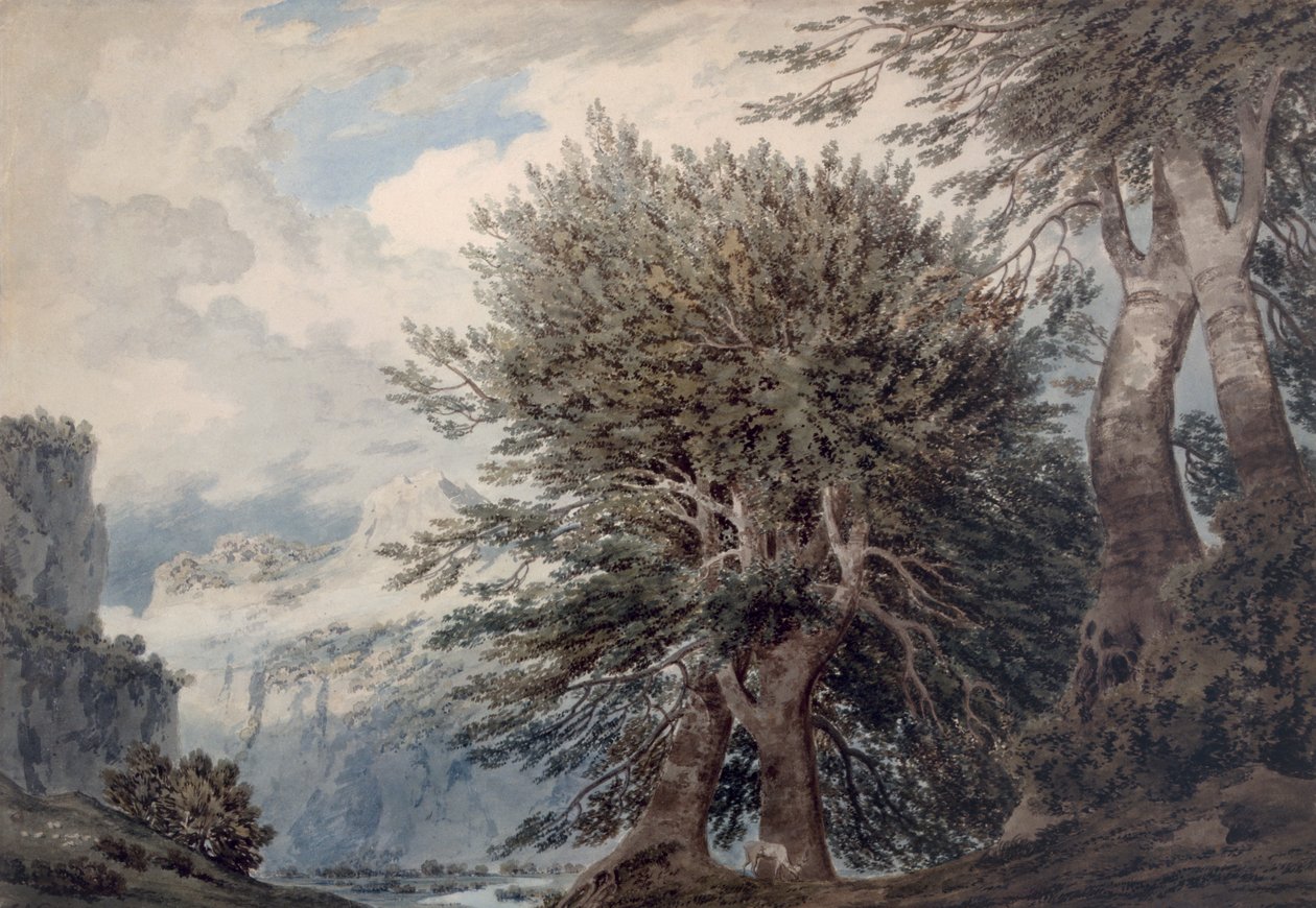Vuoristoinen maisema pyökkeineen, 1792 tekijältä John Robert Cozens