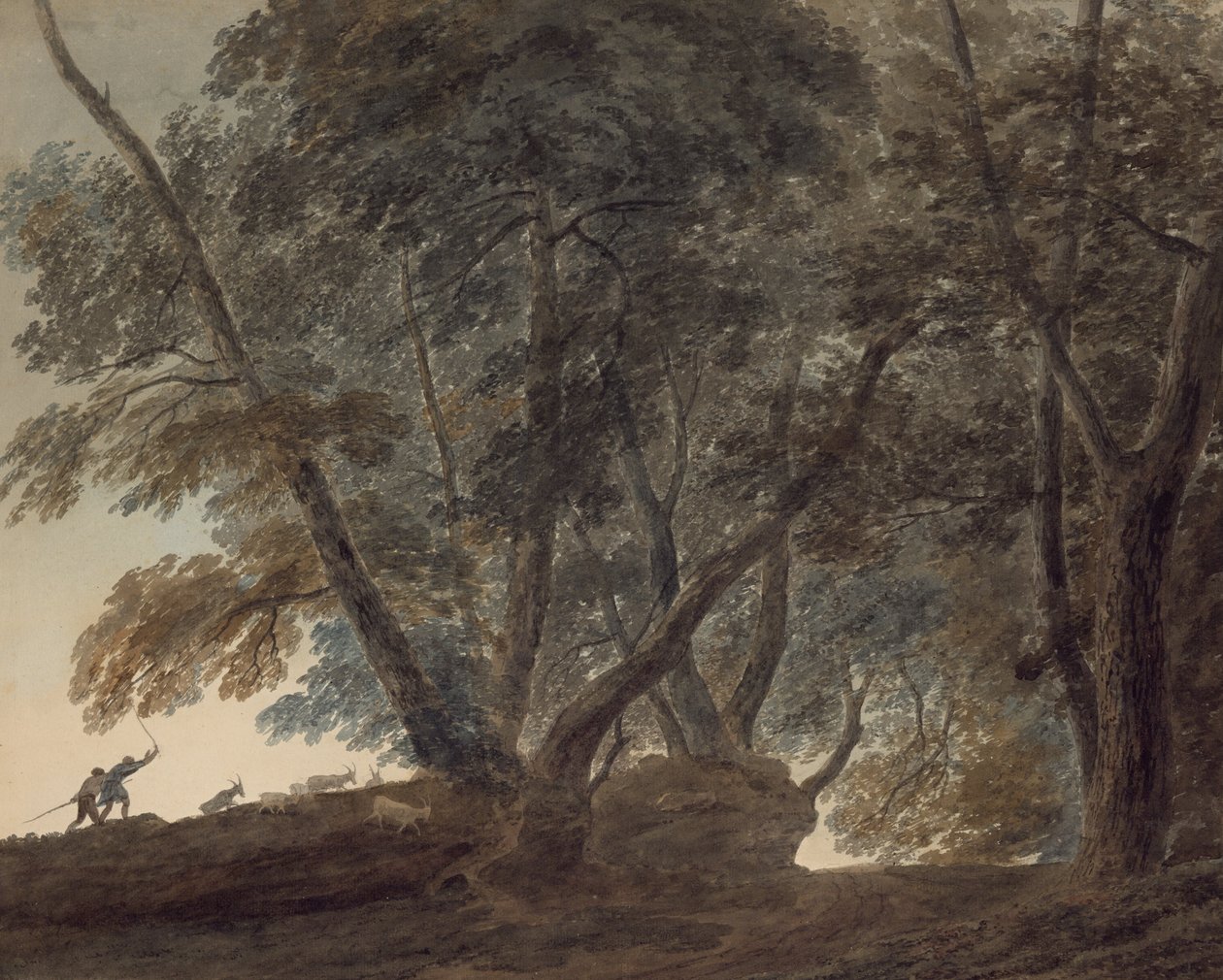 Goatherd- Näkymä Galleria di Sopralle Albano-järven yläpuolella tekijältä John Robert Cozens