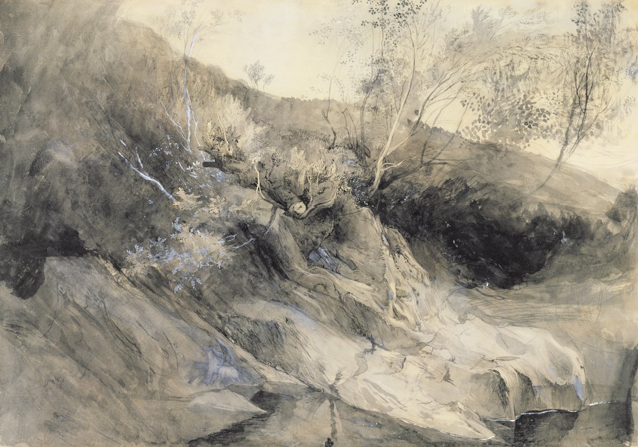 The Rocky Bank of a River - Verso: luonnos lehdistä, n. 1853 (pese kynällä ja musteella grafiitin päällä paperilla) tekijältä John Ruskin