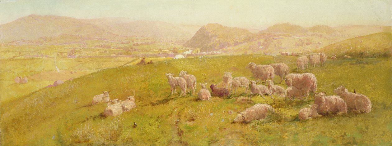 Towyn laakso, 1873 tekijältä John Samuel Raven