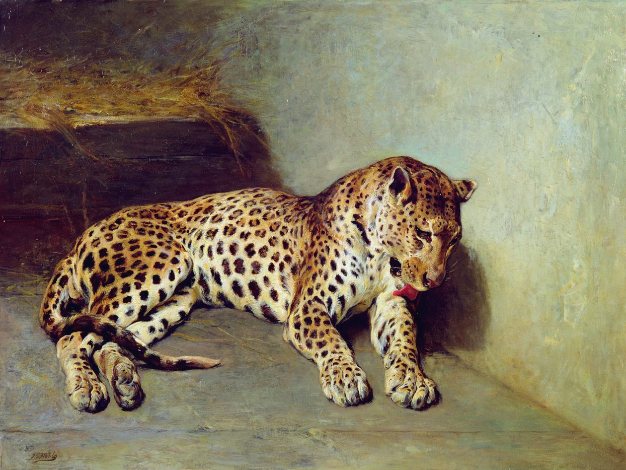 Leopardi tekijältä John Sargent Noble