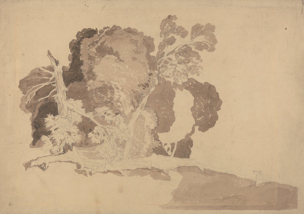 Puiden tutkimus tekijältä John Sell Cotman