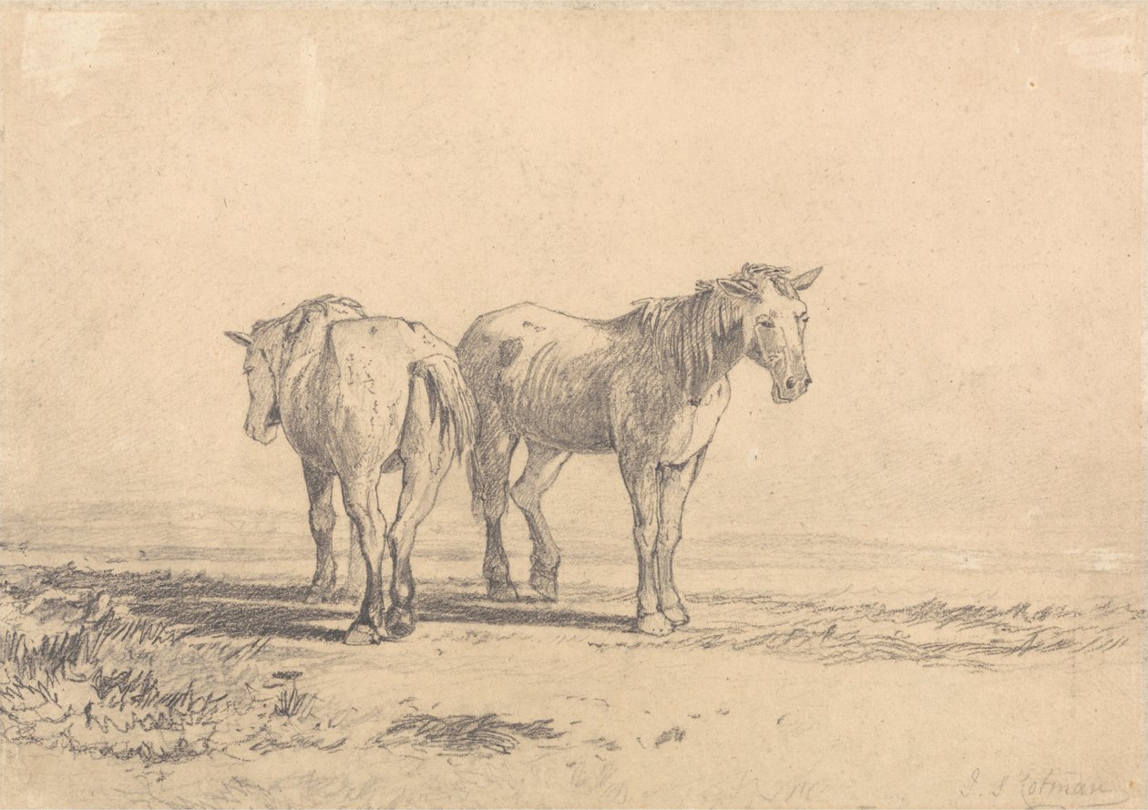 Kaksi vanhaa hevosta seisoo pellolla tekijältä John Sell Cotman