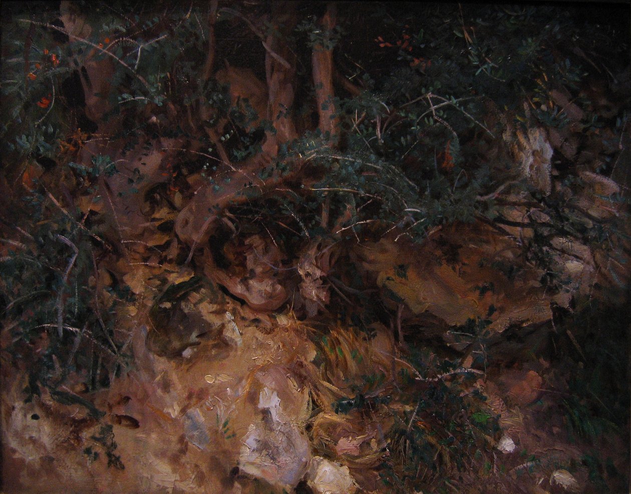 Valldemossa, Mallorca: Ohdakkeita ja yrttejä kukkulan rinteellä tekijältä John Singer Sargent