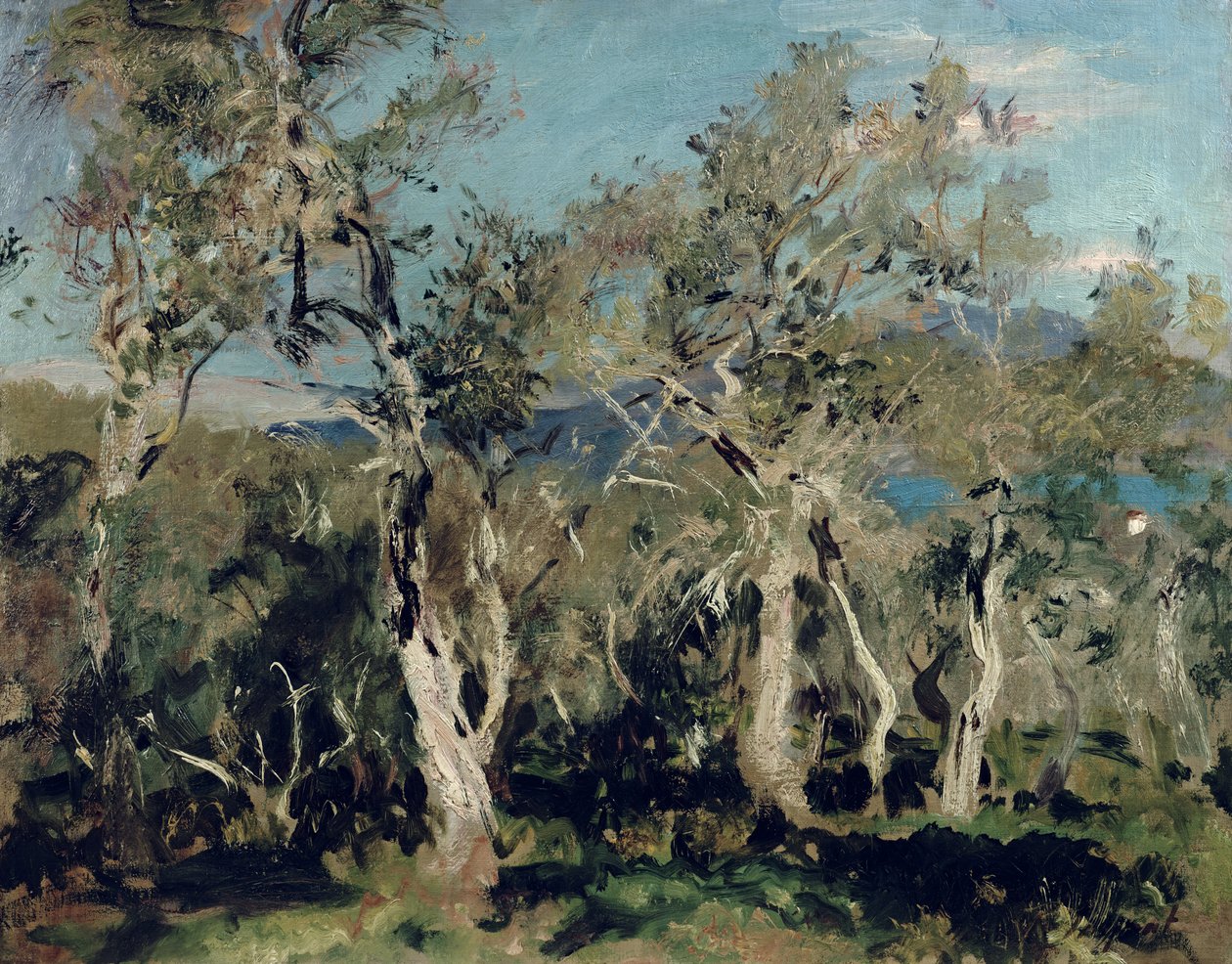 Oliivit, Korfu, 1912 tekijältä John Singer Sargent