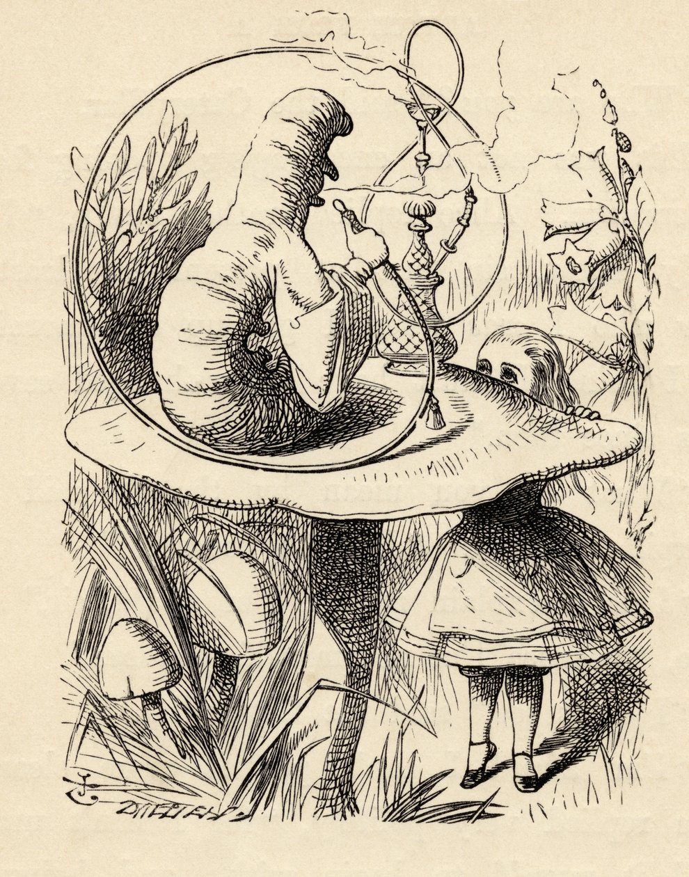 Neuvoja toukalta, Lewis Carrollin teoksesta "Liisan seikkailut ihmemaassa", julkaistu 1891 tekijältä John Tenniel