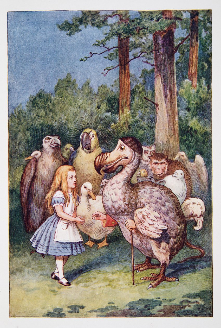 Liisa tapaa Dodon, Lewis Carrollin (1832 - 98) teoksesta Alice Adventures in Wonderland and Through the Looking-Glass and Through the Looking-Glass and what Alice Found Found, julkaistu 1911 (värillinen litografia) tekijältä John Tenniel